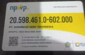 NPWP dominasiserp